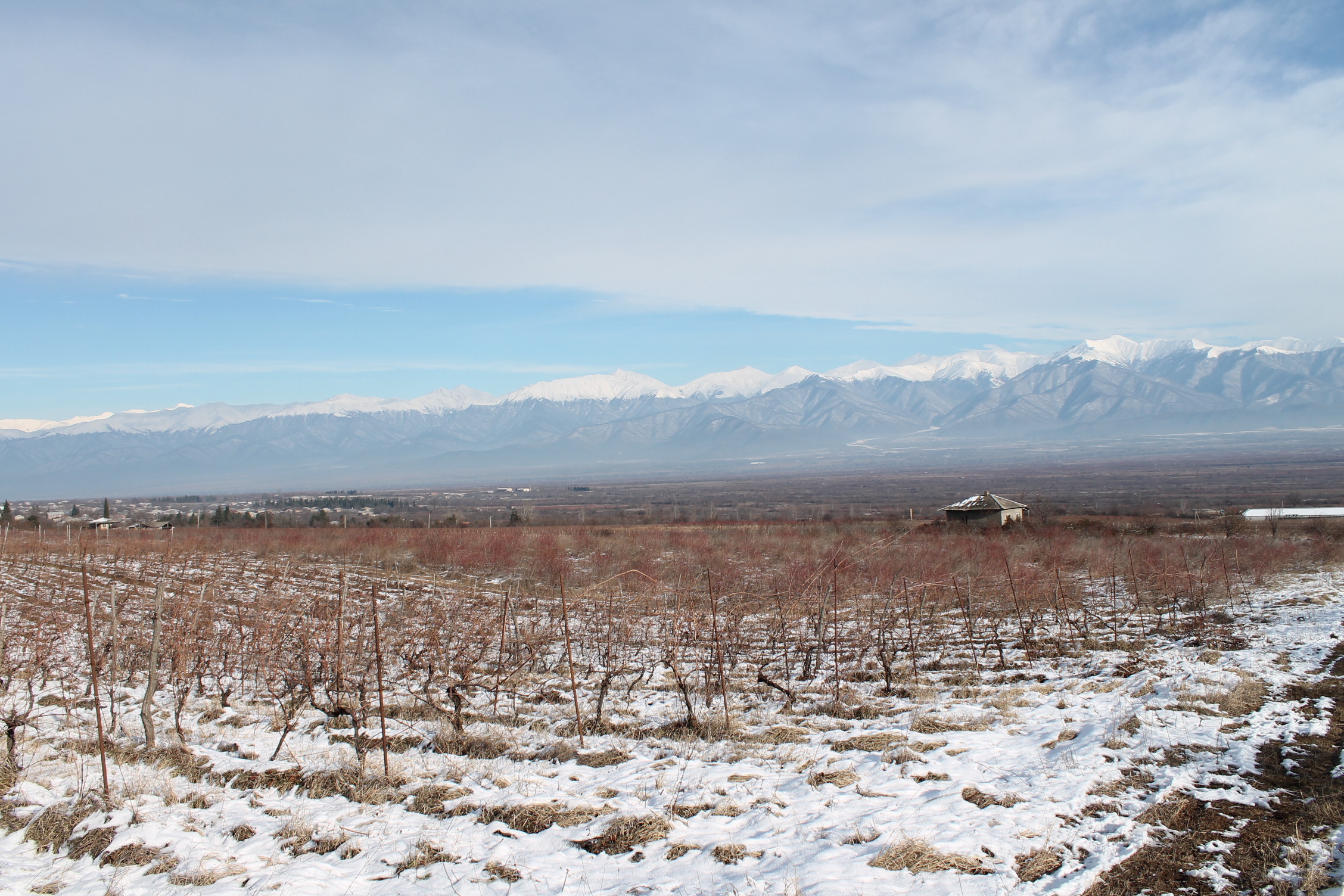 Construction of Wine Factory in Mukuzani has been launched